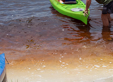 Charlotte Harbor water is brown